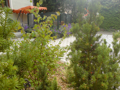 garten_schmidt_durch-den-taxus