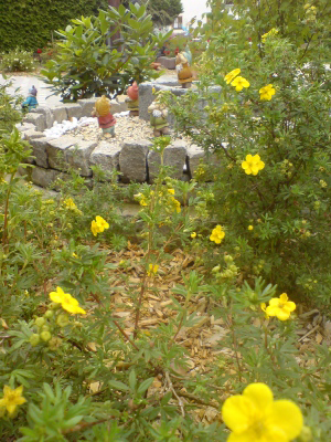 garten_schmidt_gelb
